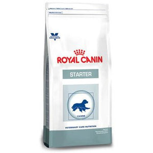 Royal Canin Alimento Perros Starter Cachorro Lactancia Gestacion Raza Mediana Croqueta Pienso