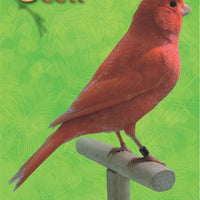 Ocell Alimento Aves Factor Rojo Brillo Cambio Color