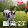 Hills Science Diet Alimento Perros Adulto 7+ 12 kg Alimento Seco Croquetas Pienso