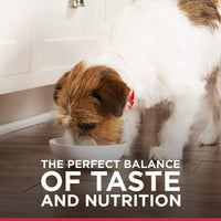 Hills Alimento Perros Adulto Original Lata 369 gr Alimento Humedo