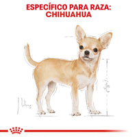 Royal Canin Alimento Perros Chihuahua Lata 85 gr Alimento Humedo