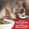 Hills Science Diet Adult Small & Mini Alimento Perros Adulto Raza Pequeña y Mini Croquetas