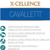 Purina X-cellence Cavalletti Caballos 20kg Suplemento Alimenticio