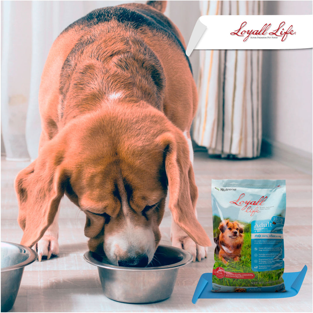 Loyall Life Dog Food Adulto Lamb & Brown Rice Perro Adulto Cordero Arr