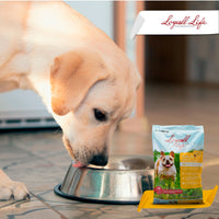 Loyall Life Dog Food Adulto Chicken & Brown Rice  Alimento Perro Adulto Pollo Arroz