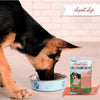 Loyall Life Dog Food Salmon Sweet Potato Alimento Perros Todas Edades Libre Granos 13.61 kg