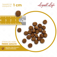 Loyall Life Dog Food Adulto Chicken & Brown Rice  Alimento Perro Adulto Pollo Arroz