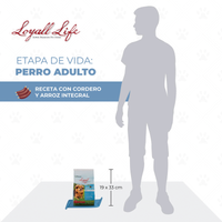 Loyall Life Dog Food Adulto Lamb & Brown Rice  Perro Adulto Cordero Arroz