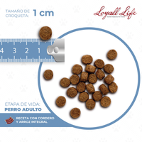 Loyall Life Dog Food Adulto Lamb & Brown Rice  Perro Adulto Cordero Arroz