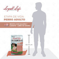 Loyall Life Dog Food Salmon Sweet Potato Alimento Perros Todas Edades Libre Granos 13.61 kg