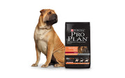 Pro Plan Alimento Perros Adulto Salmon Razas Medianas Grandes Sensitive Skin Optiderm