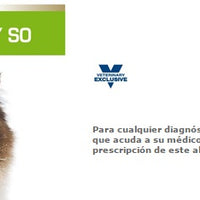 Royal Canin Alimento Gatos Urinary Feline Lata 145 gr Disolucion Prevencion Calculos Estruvita