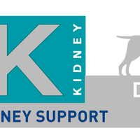 Virbac Alimento Perros Dog Kidney Support Insuficiencia Renal Pienso Croquetas