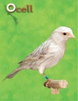 Ocell Alimento Aves Pasta Profesional Blanca Canarios 1kg