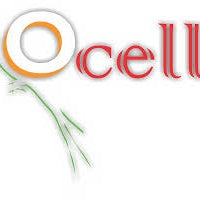 Ocell Alimento Aves Pasta Profesional Blanca Canarios 1kg