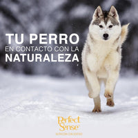 Perfect Sense Alimento Perros Cachorro Raza Mediana Grande Croquetas Pienso