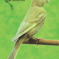 Ocell Alimento Aves Pasta Amarilla Crias Postura Reproduccion