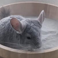 Propiel Baño de Arena especial para Chinchillas Marmolina 1Kg