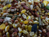 Purina Casta Brava 20kg Alimento Para Gallos De Competencia