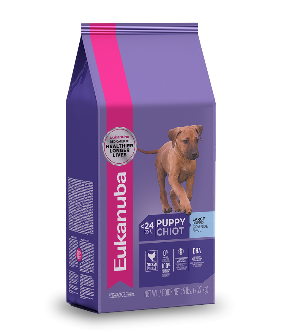Eukanuba Croquetas Puppy  Large Breed Cachorros Razas Grandes