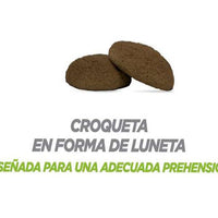 Nupec Alimento Gatos Adultos Indoor