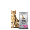 Pro Plan Alimento Sterilized Cat Gatos Esterilizado Optirenal