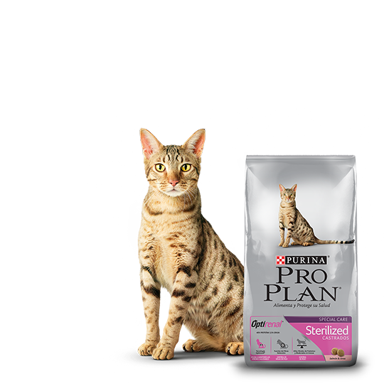 Pro Plan Alimento Sterilized Cat Gatos Esterilizado Optirenal