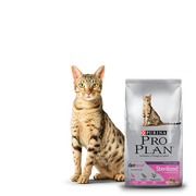 Pro Plan Alimento Sterilized Cat Gatos Esterilizado Optirenal