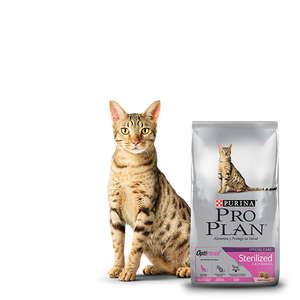 Pro Plan Alimento Sterilized Cat Gatos Esterilizado Optirenal