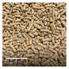 Alimento para Aves Acuaticas Gus Goose 5 Kg Abene  Patos Cisnes Gansos Micropellets
