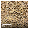 Alimento para Aves Acuáticas Gus Goose 5 Kg Abene  Patos Cisnes Gansos Micropellets