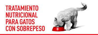 Royal Canin Alimento Gatos Satiety Support Feline Obesidad Constipacion