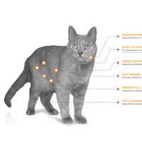 Nupec Felino Digestive Health Alimento para Gato con Problemas Gastrointestinales