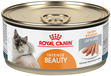 Royal Canin Hair & Skin Care Loaf Gatos Adulto Cuidado Pelo Lata Alimento Húmedo 145gr iPos