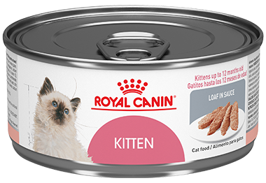 Royal Canin Kitten Loaf in Sauce Gatos Cachorros Lata Alimento Húmedo 145gr