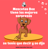 Caja de Regalos Sorpresa para Perros 5 Sorpresas Juguetes Premios