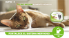 Nupec Caja con 4 piezas Alimento Húmedo Gato Indoor 100 Gr