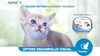 Nupec Caja con 4 piezas Alimento Húmedo Kitten 100 Gr