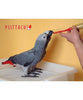 Psittacus Alimento Aves Papilla Alta Energia Nivel Alto Grasa Yacos Guacamayos