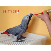 Psittacus Alimento Aves Papilla Alta Energia Nivel Alto Grasa Yacos Guacamayos
