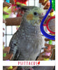 Psittacus Alimento Aves Eggfood Pasta Cria Aves Pequeñas Ninfas Agapornis
