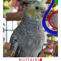 Psittacus Alimento Aves Eggfood Pasta Cria Aves Pequeñas Ninfas Agapornis