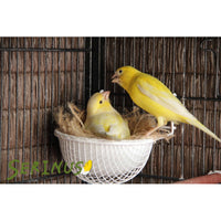 Psittacus Alimento Canarios Eggfood Pasta Seca Cria Complementaria Canarios