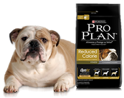 Pro Plan Alimento Perros Adultos Todas Razas Reduced Calorie Optifit Calorias Reducidas