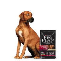 Pro Plan Alimento Perro Adulto Raza Grande Optihealth