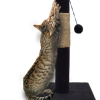 Rascador para Gatos Poste Con Juguete Desmontable color Gris de 62cm