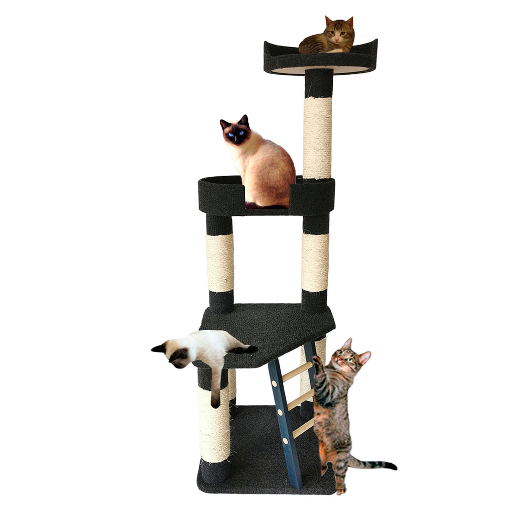Hacia fuera Cordelia Especialmente MyA Mueble Arbol Rascador para Gatos 3 Niveles con Escaleras Torre Gra |  Mascotas y Accesorios Mx