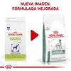 Royal Canin Alimento Perros  Glycobalance Diabetes Mellitus Croqueta Pienso
