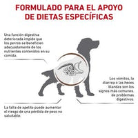 Royal Canin Alimento Perros GastroIntestinal High Energy Diarrea Infeccion Intestinal Croqueta