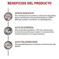 Royal Canin Alimento Perros GastroIntestinal High Energy Diarrea Infeccion Intestinal Croqueta